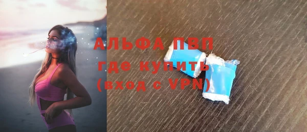 индика Аркадак