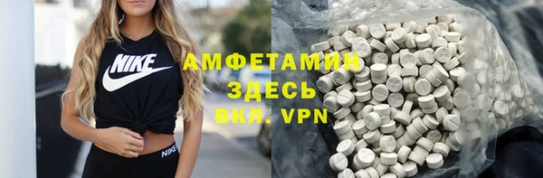индика Аркадак