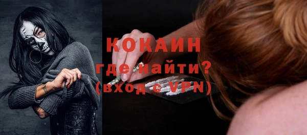 индика Аркадак