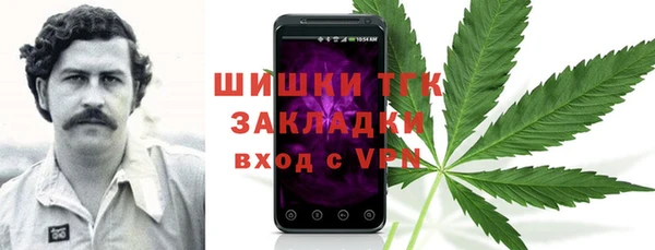 индика Аркадак
