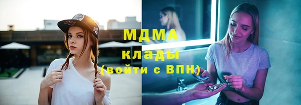 индика Аркадак
