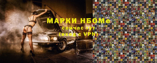 индика Аркадак