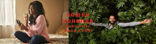 индика Аркадак
